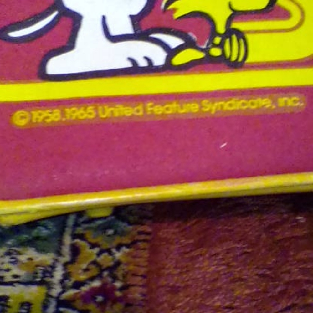 1965 Snoopy Suitcase - Gem